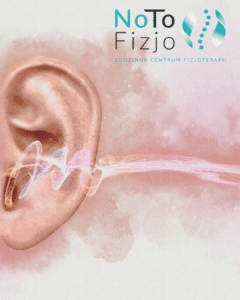 Read more about the article Szumy uszne – fizjoterapia i leczenie napięć | No To Fizjo Zabrze