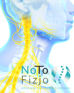 Read more about the article Nerw błędny – jak wpływa na stres, ból, oddychanie i pracę narządów? Poradnik fizjoterapeutyczny