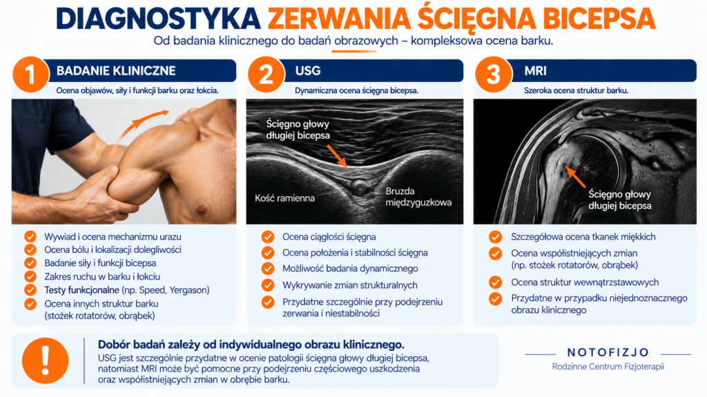 Jak diagnozuje się zerwanie ścięgna bicepsa?